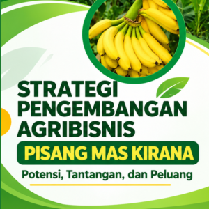 STRATEGI PENGEMBANGAN AGRIBISNIS PISANG MAS KIRANA: Potensi, Tantangan, dan Peluang
